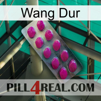 Hard Wang 09